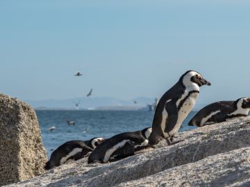 Wild Waters: 6 Ways to Experience the Coast Differently 