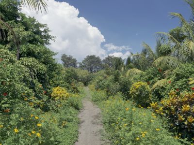 Cycling Holidays in Nicaragua