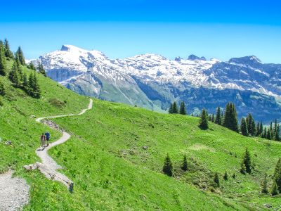 Walking Holidays in Switzerland