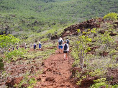 Walking Holidays in Ecuador
