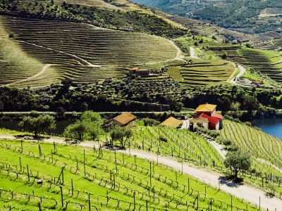 Portugal: Walking & Wine – Premium Adventure