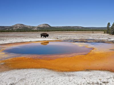 Yellowstone