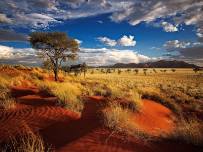 Naukluft reserve, namibia