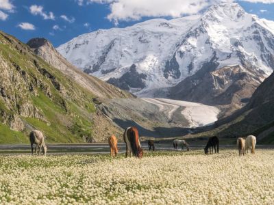 The Silk Road