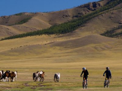 Horses and cyclists in Mongolia