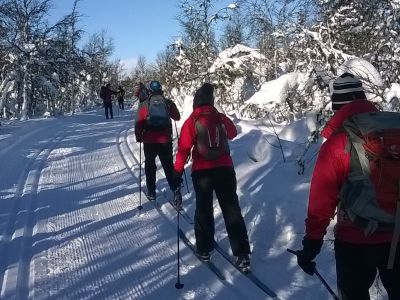 Cross-country skiing in Trimloipe in Venabu mountains
