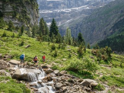 Self-Guided Walking