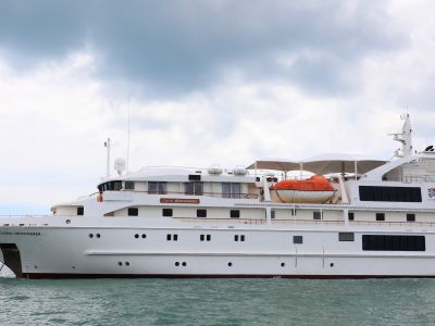 Coral Discoverer