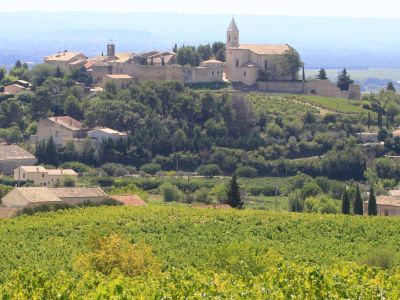 Vineyards of Vaucluse Cycling