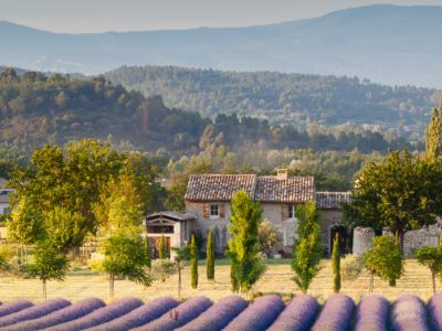 Landscapes of the Luberon Walk