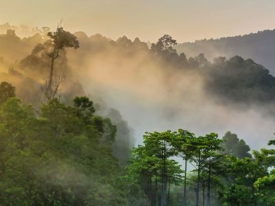 Borneo