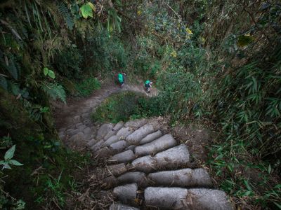 Exodus Porters on the Inca Trail