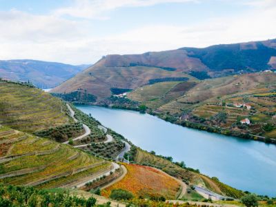 Terraced vineyards in autumn in the Douro Valley