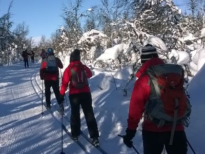 Cross-country skiing in Trimloipe in Venabu mountains