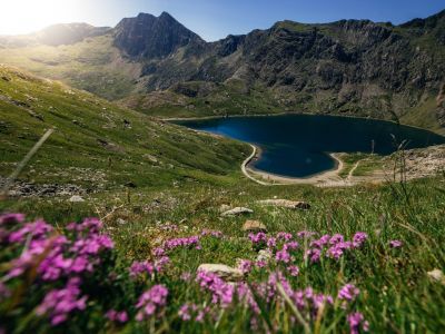 Snowdon
