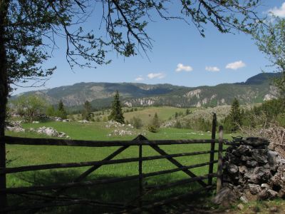 Trigrad Plateau, Rodopi