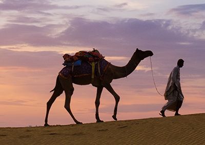 Sunset Camel Desert
