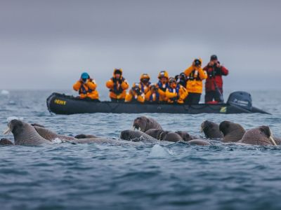 Polar Expedition