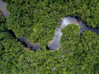 Pantanal Brazil