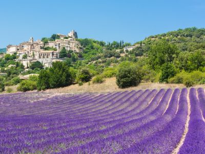Tours in Provence