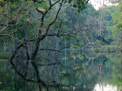 Chitwan