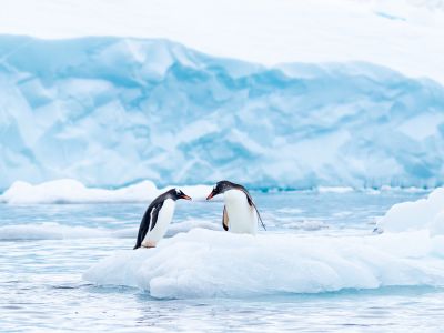 Polar