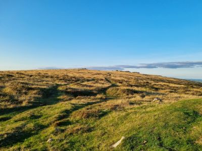 Contrasts of Devon Walking