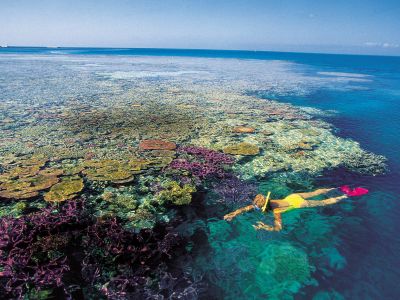 Snorkelling Whitsundays