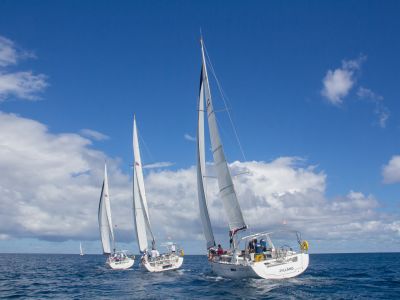 Sailing Regatta