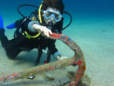 Guide to scuba diving