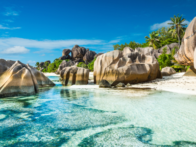 TMFR_Seychelles