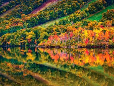 Click It!: 8 Tips for Photographing Autumn Foliage