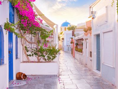 Narrow scenic street of Oia Village on Santorini Island at sunset, Greece