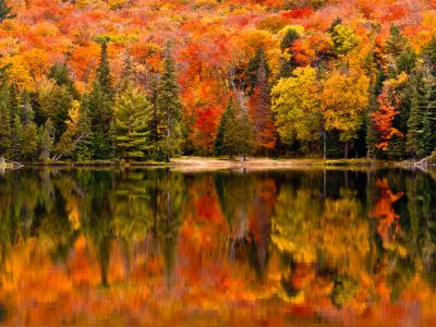 Autumn in Ontario, Canada