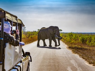 Africa Land Tours