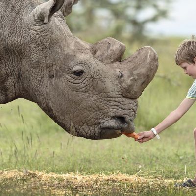 4. WHY ENCHANTING OPBC-interacting-with-rhino