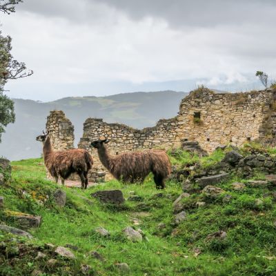 Danke Peru Webinar März 2025