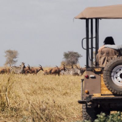 Danke Safari Webinar Juli 2025