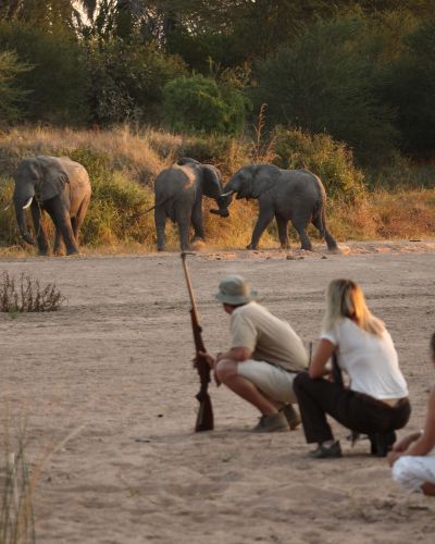 Tansania: Safaris im wilden Süden mit Inselauszeit