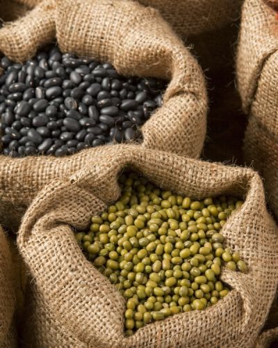 Indian Spices Enchanting Travels