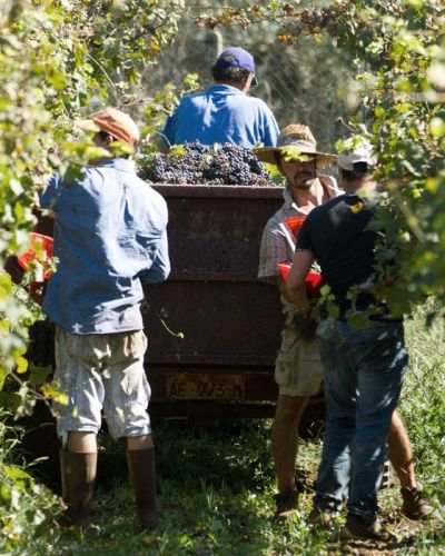 Die besten Weinbauregionen in Argentinien