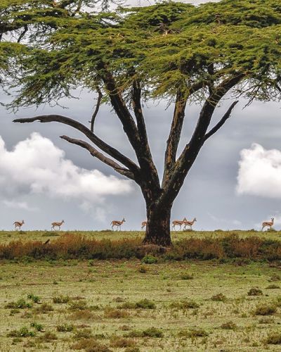 Nairobi - History of Kenya