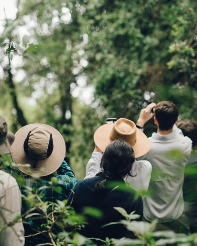 Kenia und Uganda: Safaris und Gorilla-Trekking