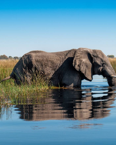 Okavango Delta