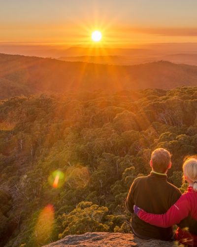 Minimizing Carbon Emissions