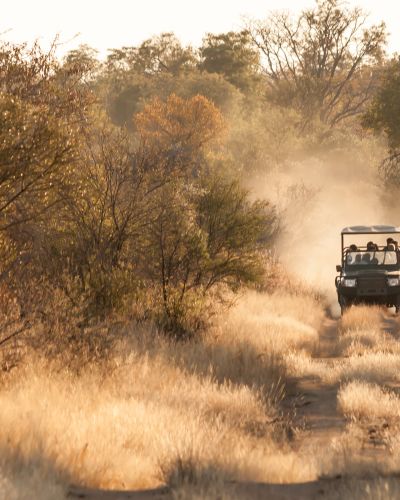 Game drive vehicle on an early morning game drive 2hrs North of Johannesburg, South Africa