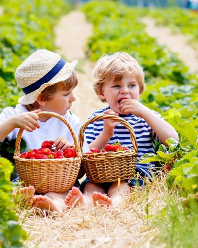 cuisine in Australia