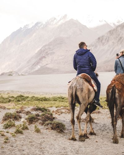 Is India safe? Camel riding in Nubra Valley, Ladakh, India