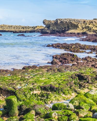 Enchanting Travels Morocco Tours Beach in Oualidia, Atlantic coast of Morocco