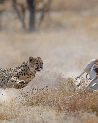 Namibia einmal anders: Flugreise jenseits gewohnter Pfade